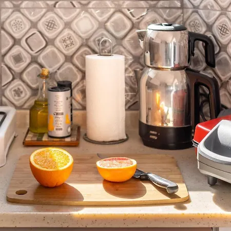 Apartman Central, Cozy, 15 Min Walk To The Beach, Fast Wi-fi, Free Parking, 4ppl Bodrum