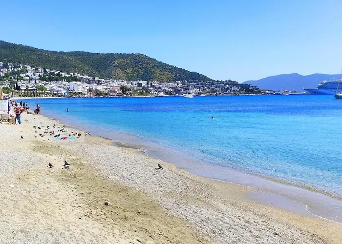 Central, Cozy, 15 Min Walk To The Beach, Fast Wi-fi, Free Parking, 4ppl Apartamento Bodrum