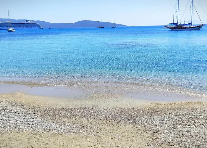 Central, Cozy, 15 Min Walk To The Beach, Fast Wi-fi, Free Parking, 4ppl Διαμέρισμα Αλικαρνασσός